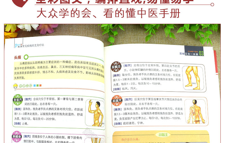 《中医艾灸边学边用》(图4) 《中医艾灸边学边用》(图4)
