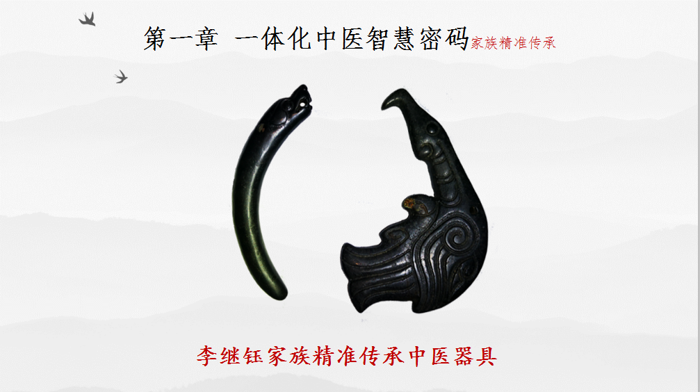 眼部疾病诊治 一体化智慧中医密码(图7)