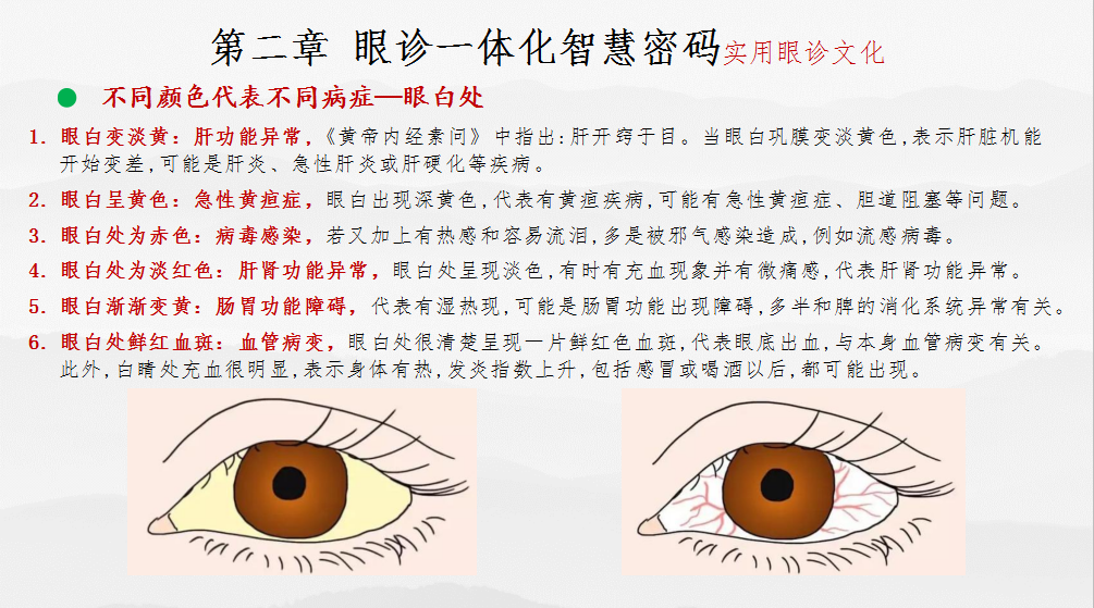 眼部疾病诊治 一体化智慧中医密码(图19)