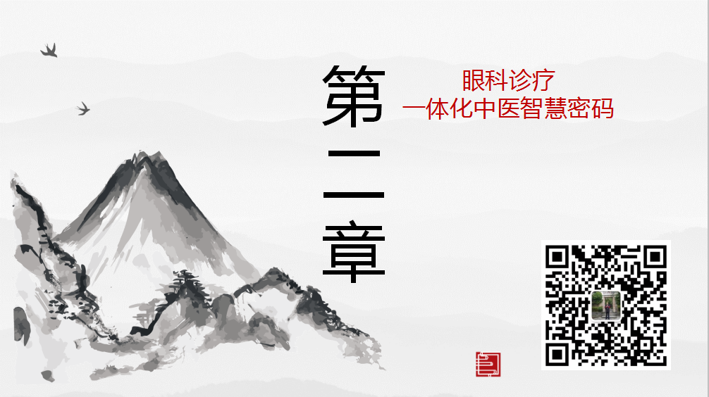 眼部疾病诊治 一体化智慧中医密码(图13)