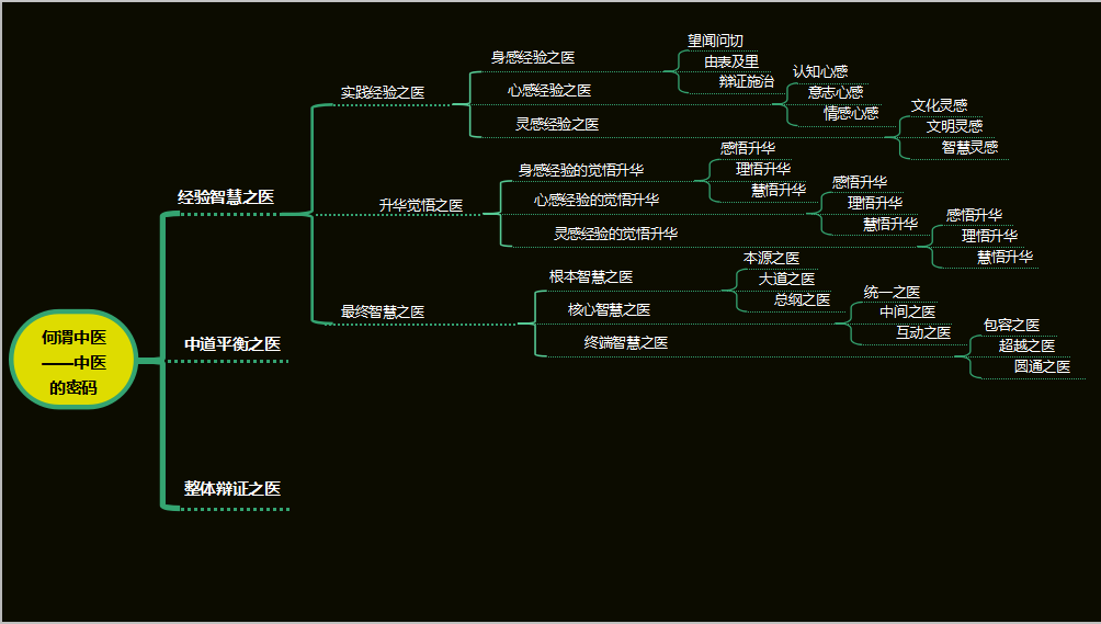 眼部疾病诊治 一体化智慧中医密码(图15)
