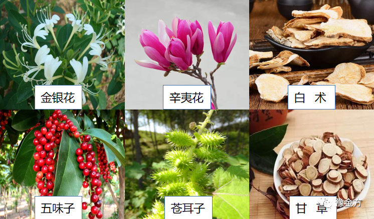 老少皆宜的养鼻神器,你值得拥有!(图1) 1-22051Q45042B2.png