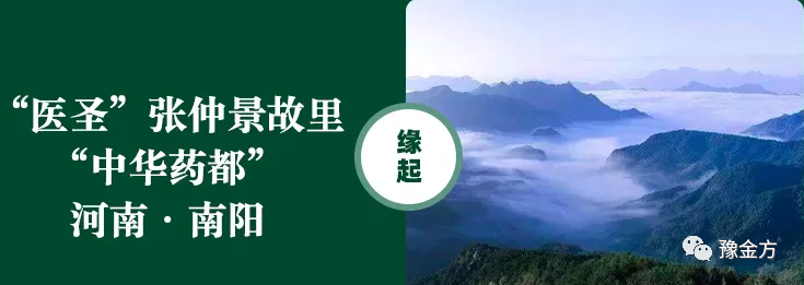 豫医方艾草膏(图3)