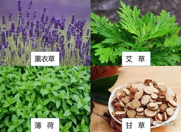 豫医方艾草膏(图4)